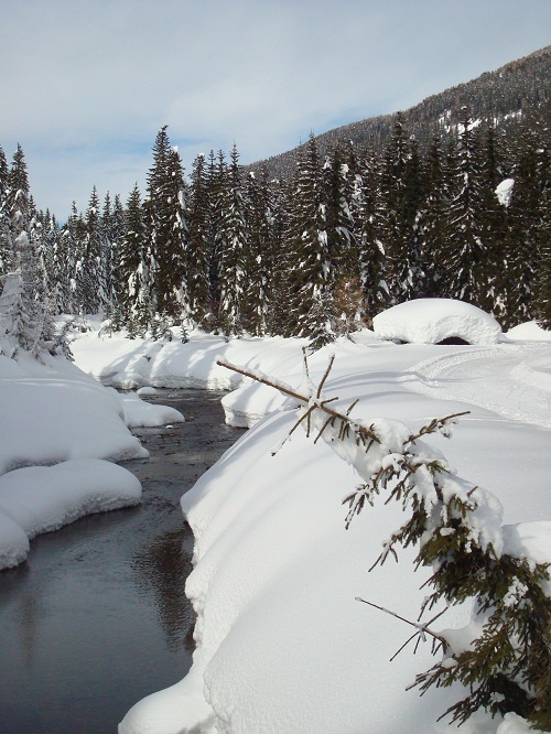 0014.jpg - 169.91 Kb