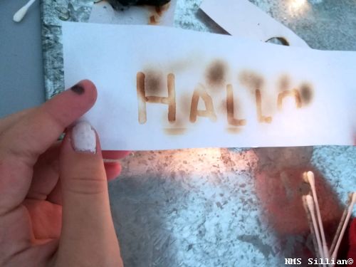 Experimentiernachmittag