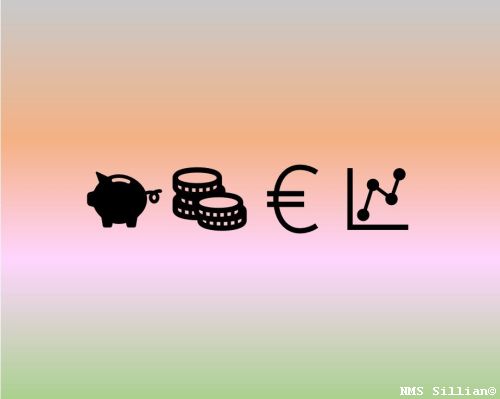 Workshop „Schau auf´s Geld“