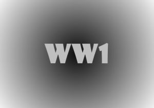 Projektvideo zum Bericht WW1