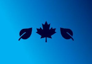 Das blaue Blatt – Buchvorstellung in der Tyrolia Lienz