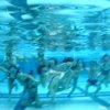schwimmwoche09