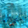 schwimmwoche11