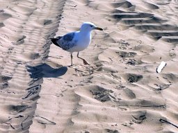 sport_sprachwoche_124