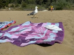 sport_sprachwoche_135